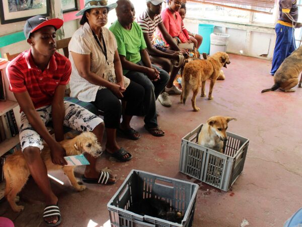 rsidents of khayelithsa queing for their dog to be checked at the Mdzananda Animal Clinic_3035